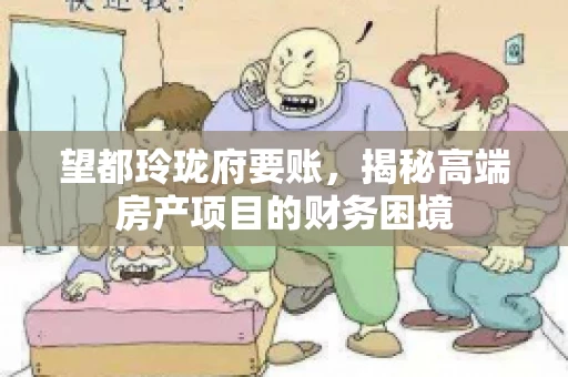 望都玲珑府要账,揭秘高端房产项目的财务困境 望都玲珑府要账,揭秘高端房产项目的财务困境