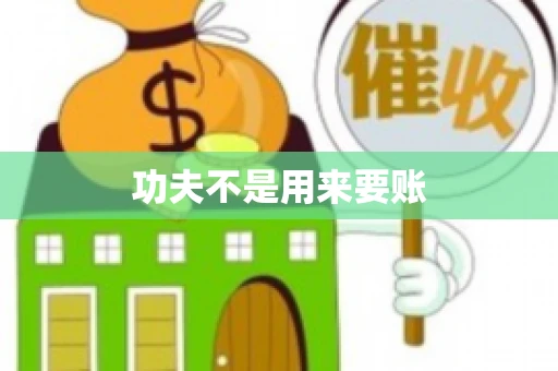 功夫不是用来要账