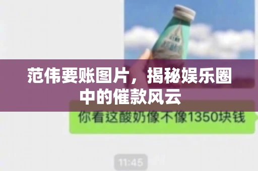 范伟要账图片，揭秘娱乐圈中的催款风云