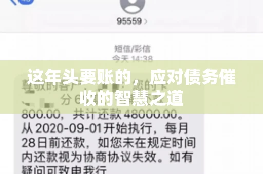 这年头要账的，应对债务催收的智慧之道
