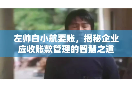 左帅白小航要账，揭秘企业应收账款管理的智慧之道