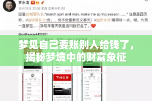 梦见自己要账别人给钱了，揭秘梦境中的财富象征