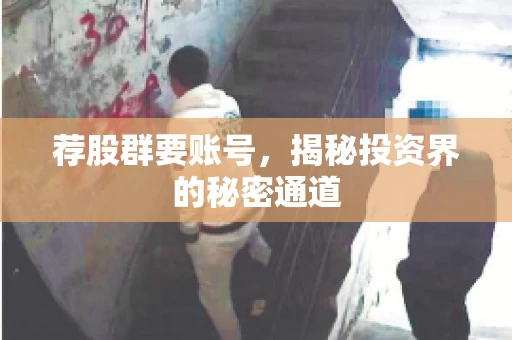 荐股群要账号，揭秘投资界的秘密通道