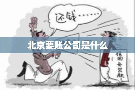 北京要账公司是什么