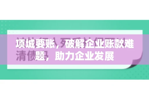 项城要账，破解企业账款难题，助力企业发展