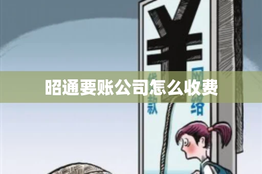 昭通要账公司怎么收费