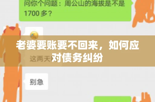 老婆要账要不回来，如何应对债务纠纷