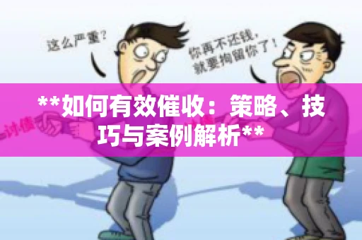 **如何有效催收：策略、技巧与案例解析**