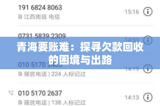 青海要账难：探寻欠款回收的困境与出路