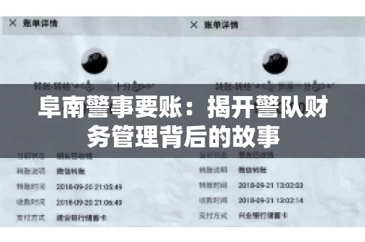 阜南警事要账：揭开警队财务管理背后的故事