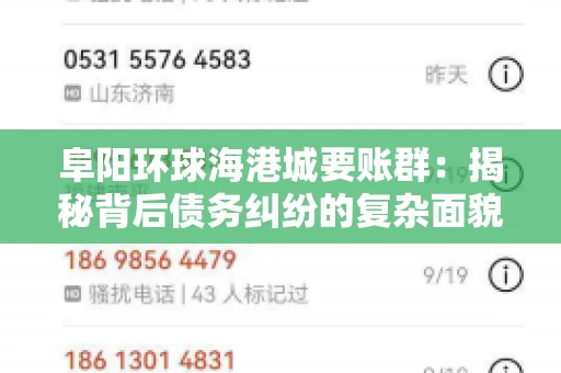 阜阳环球海港城要账群：揭秘背后债务纠纷的复杂面貌