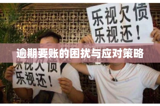 逾期要账的困扰与应对策略