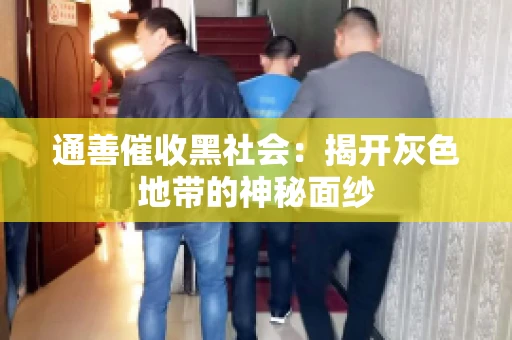 通善催收黑社会：揭开灰色地带的神秘面纱