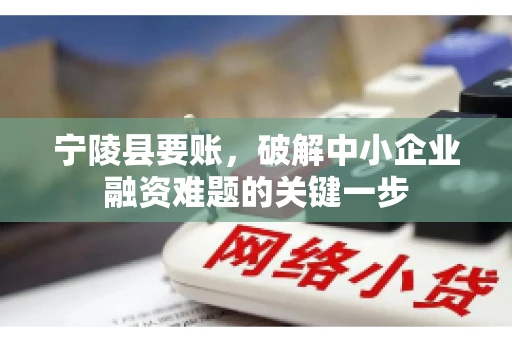 宁陵县要账，破解中小企业融资难题的关键一步
