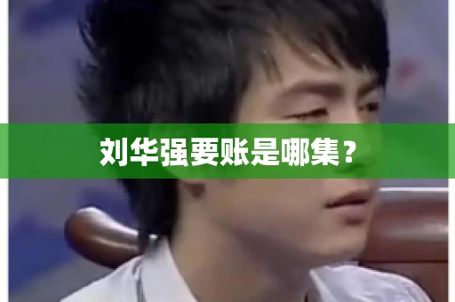 刘华强要账是哪集？